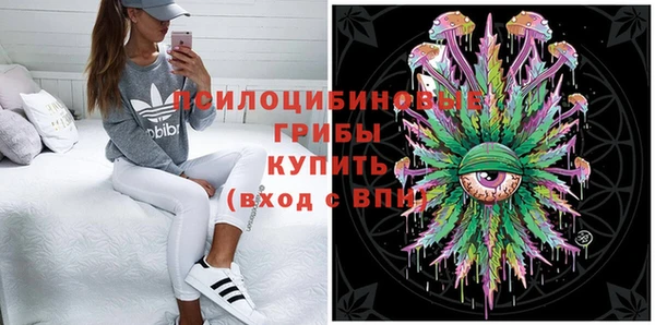 мяу мяу мука Алзамай
