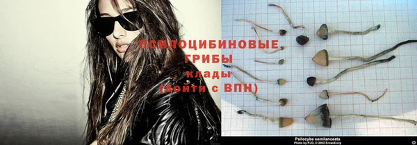 мяу мяу мука Алзамай