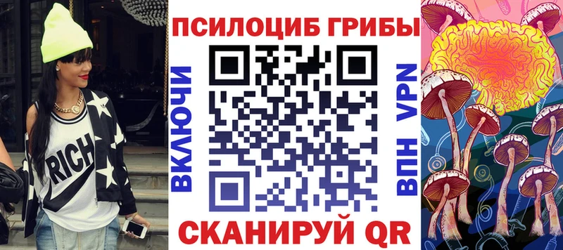 купить цена ссылка на мегу зеркало Псилоцибиновые грибы ЛСД Жуковский